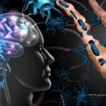 UC Davis MIND Institute Launches PAIR to Bring Community Voices Into Autism Research